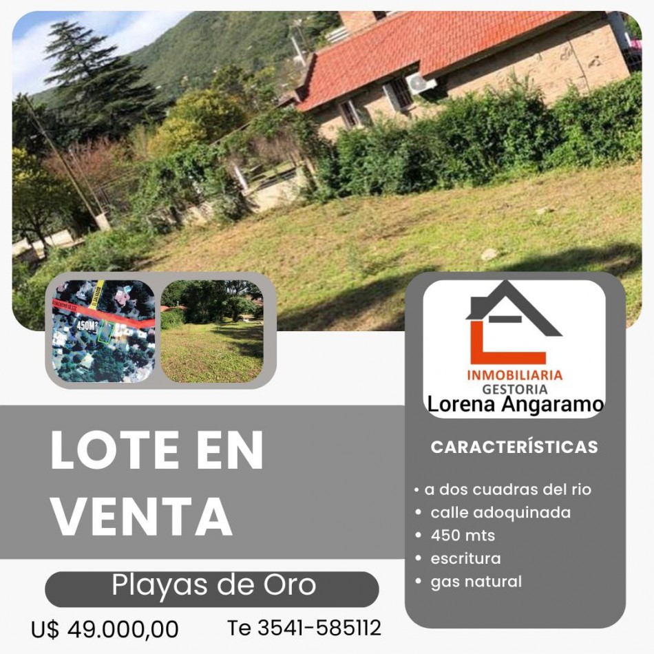 LOTE PLAYAS DE ORO