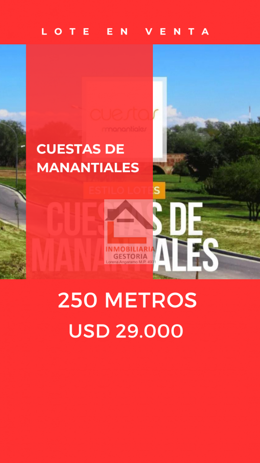 LOTE EN CUESTAS DE MANANTIALES 