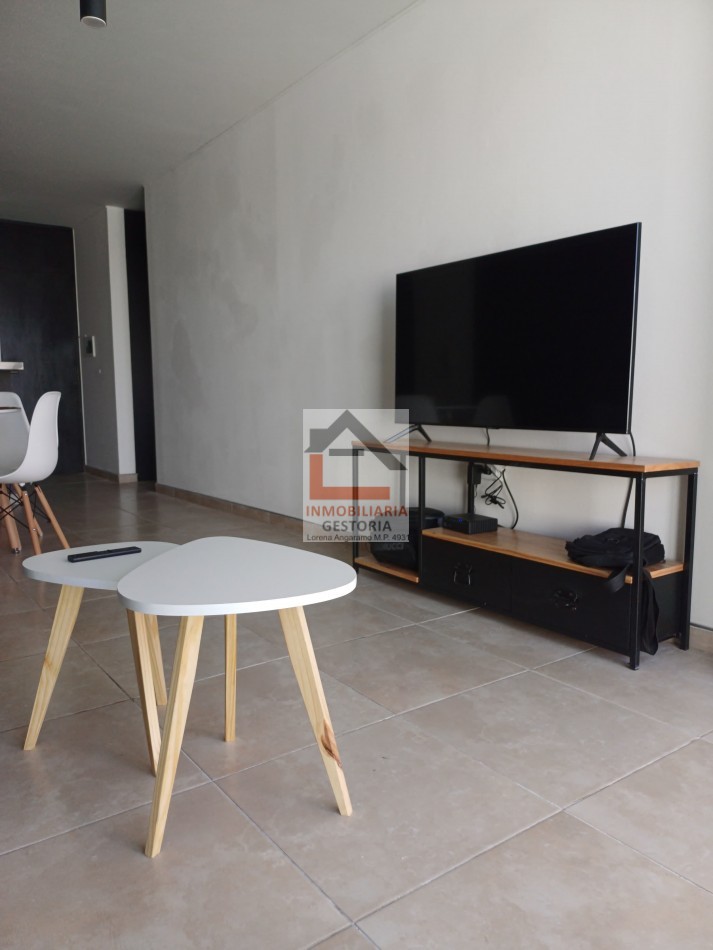 DEPARTAMENTO - ZONA CENTRO