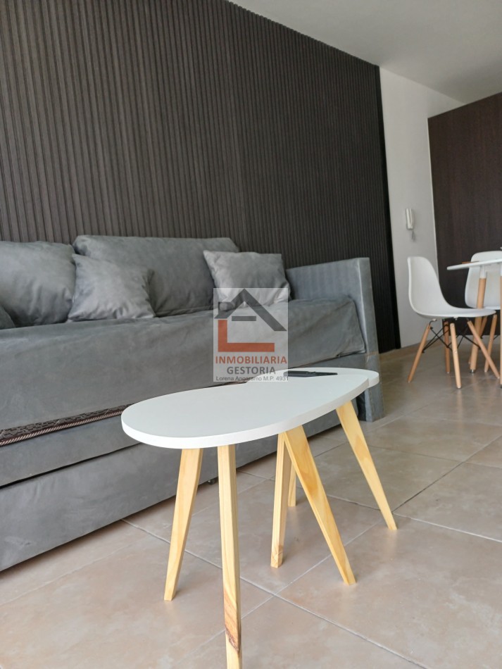 DEPARTAMENTO - ZONA CENTRO