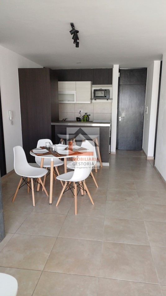 DEPARTAMENTO - ZONA CENTRO