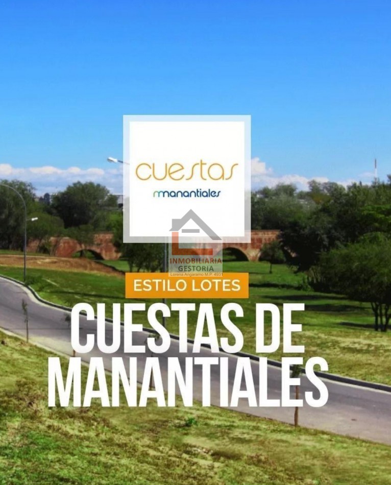 LOTE EN CUESTAS DE MANANTIALES 