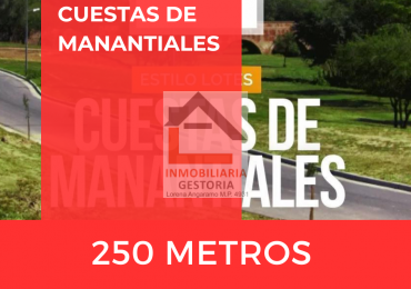 LOTE EN CUESTAS DE MANANTIALES 